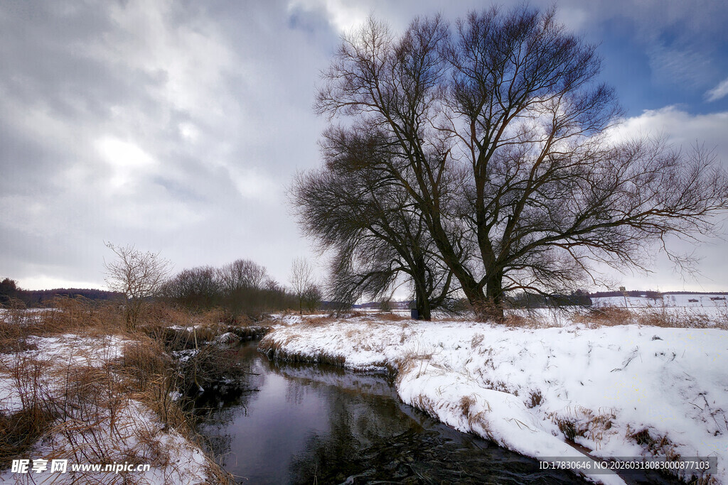 冬日雪覆溪边树木景致