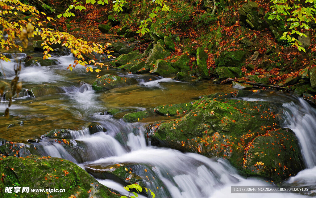 山间溪流秋色美景