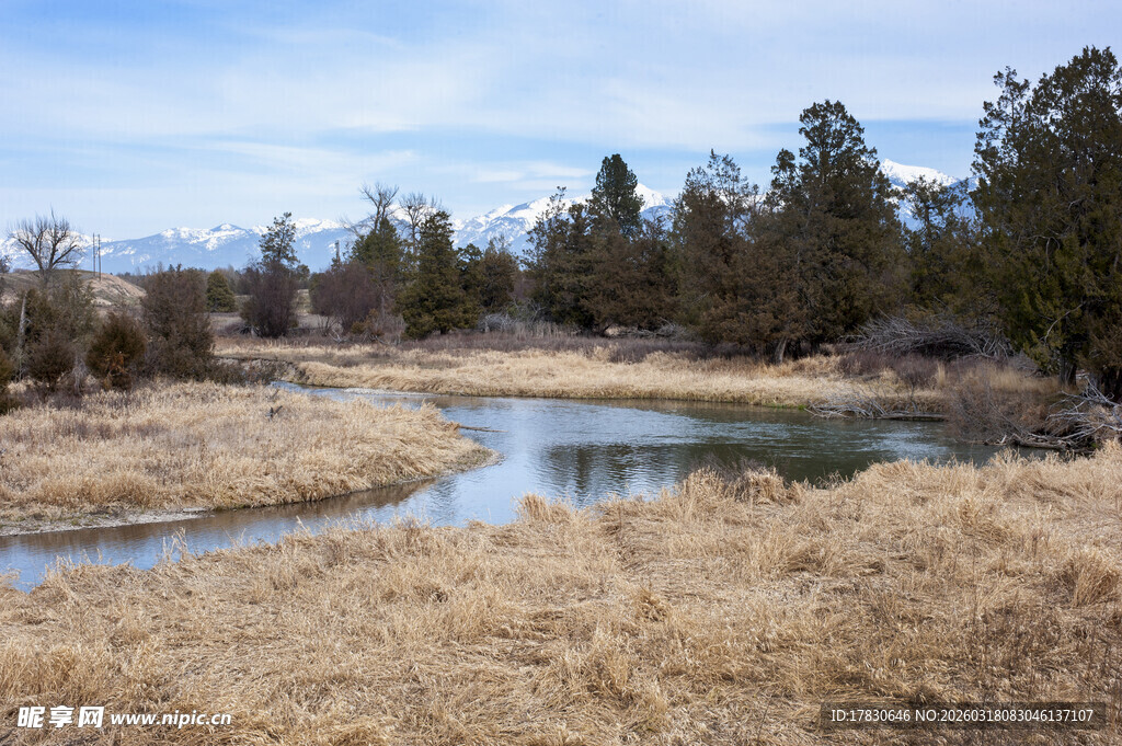 荒野中的宁静小河