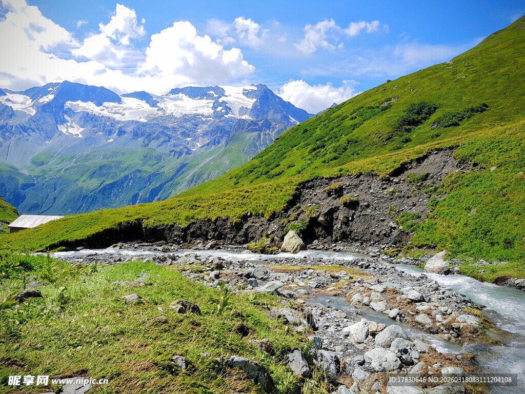 山间溪流旁的秀丽自然风光