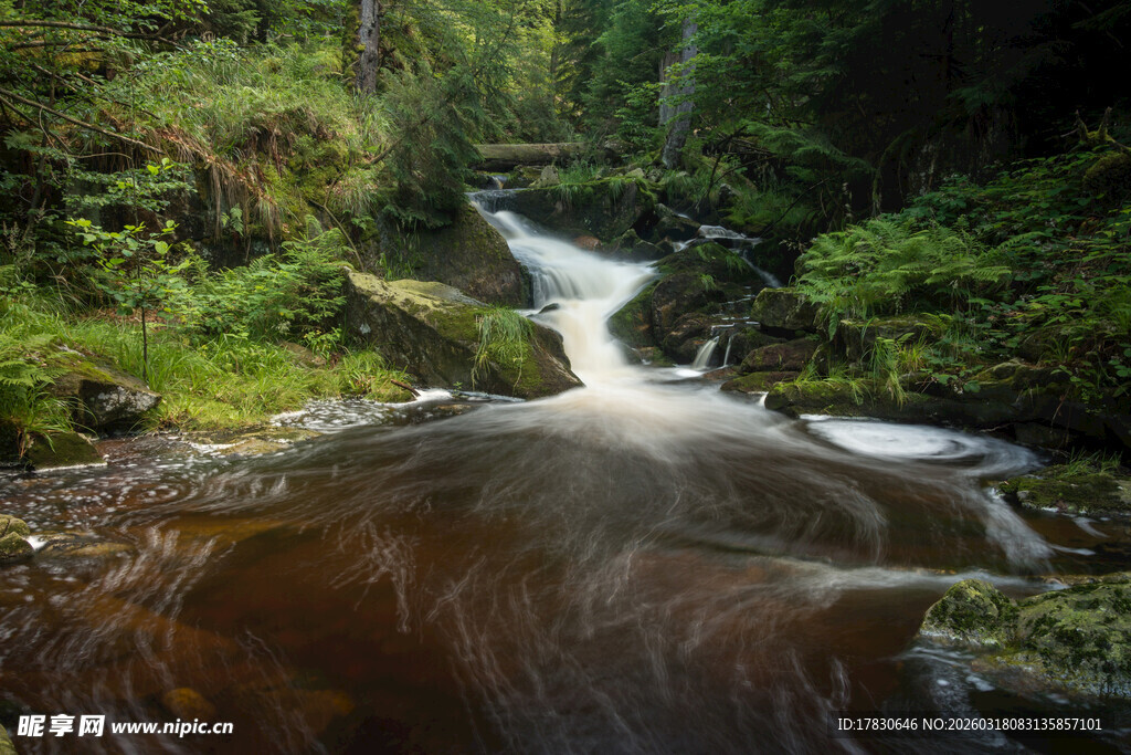 山间溪流潺潺绿意盎然