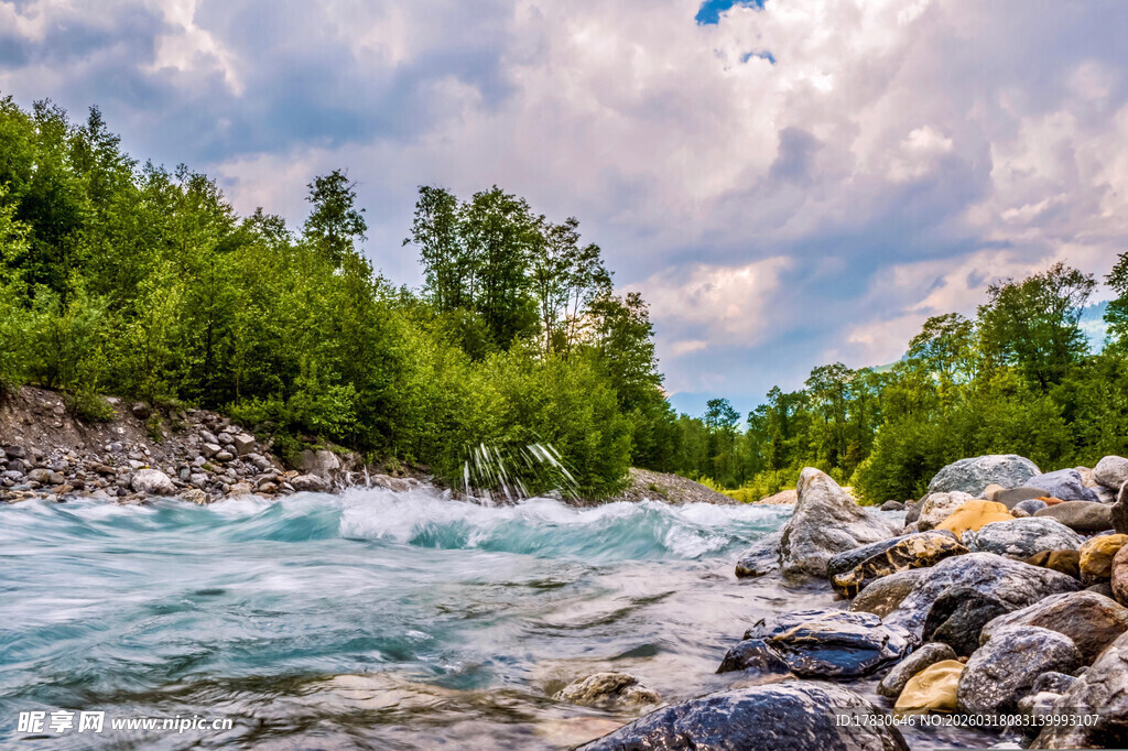 山间湍急溪流与葱郁树林