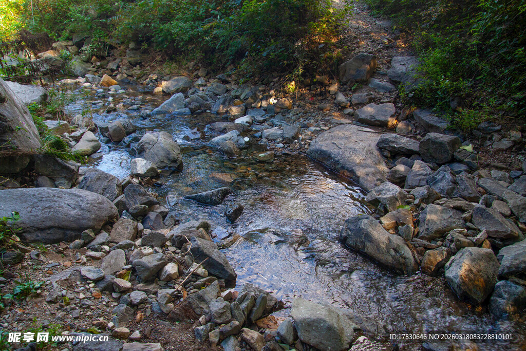 山间溪流散落石块与绿植