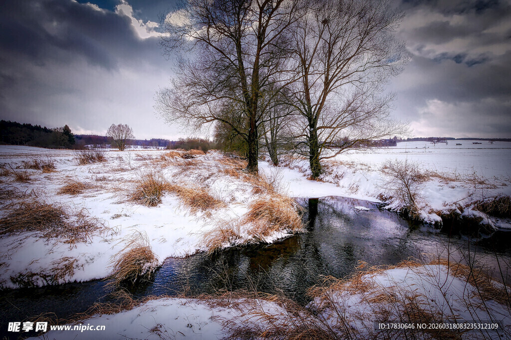 冬日雪野中的静谧溪流