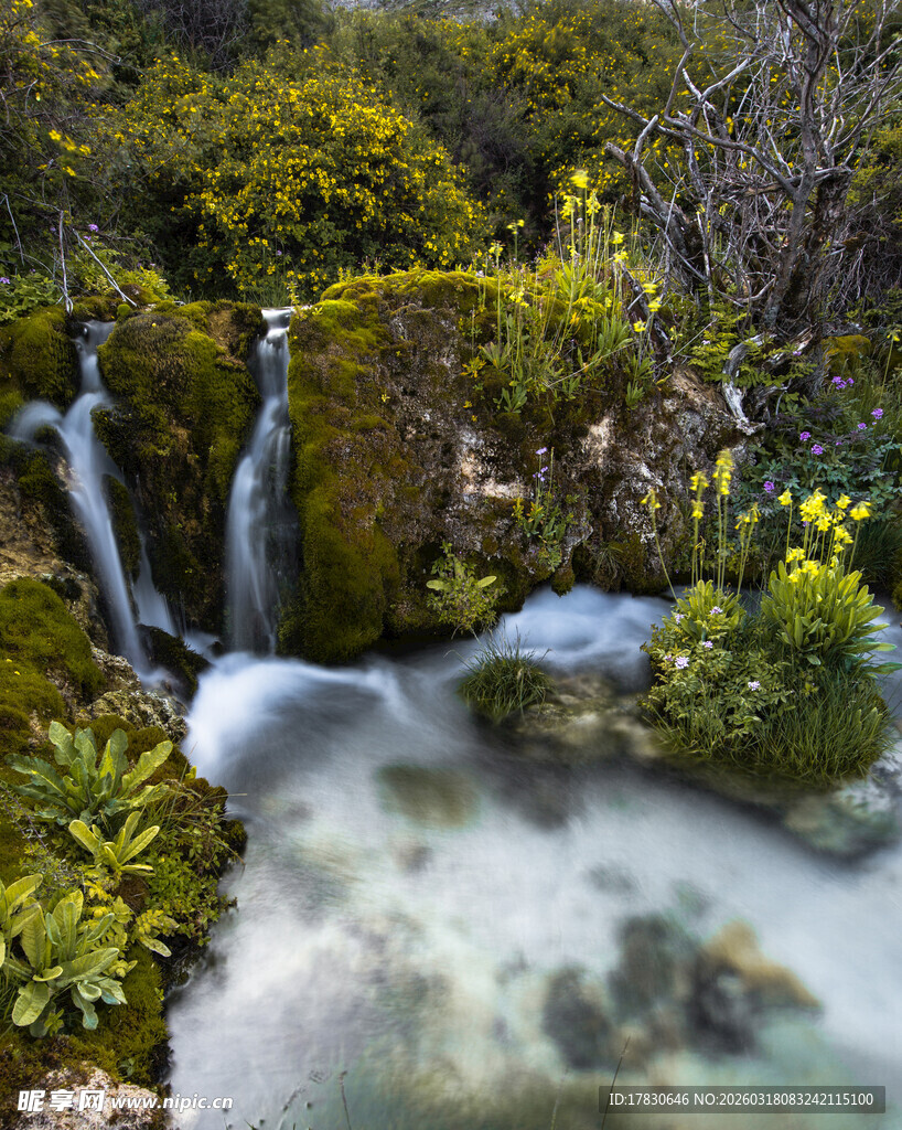 山间溪流瀑布绿植美景