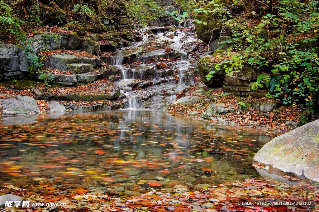 秋日溪边小瀑布与落叶