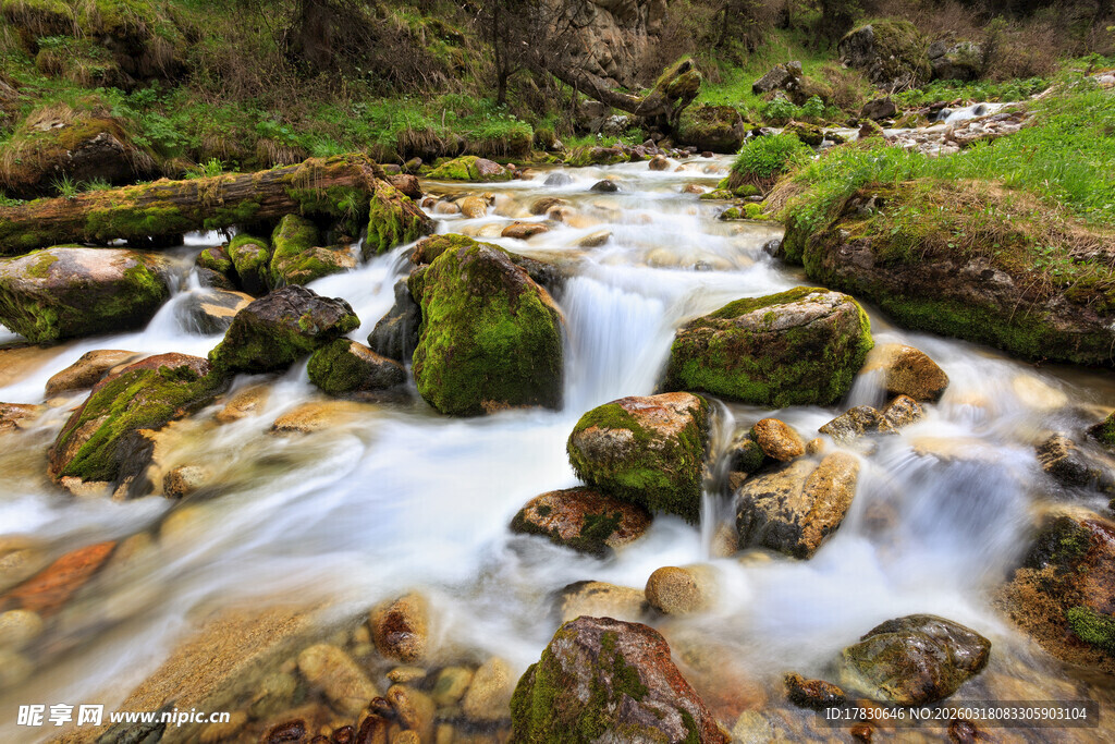 山间溪流潺潺石覆青苔