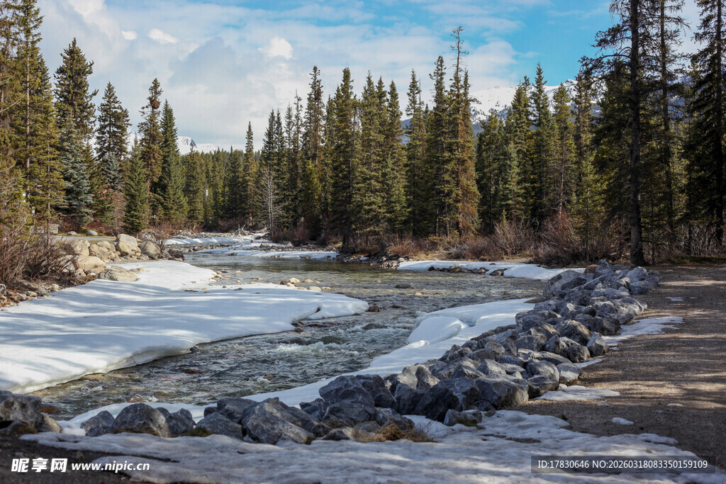 冬日林间溪流风景