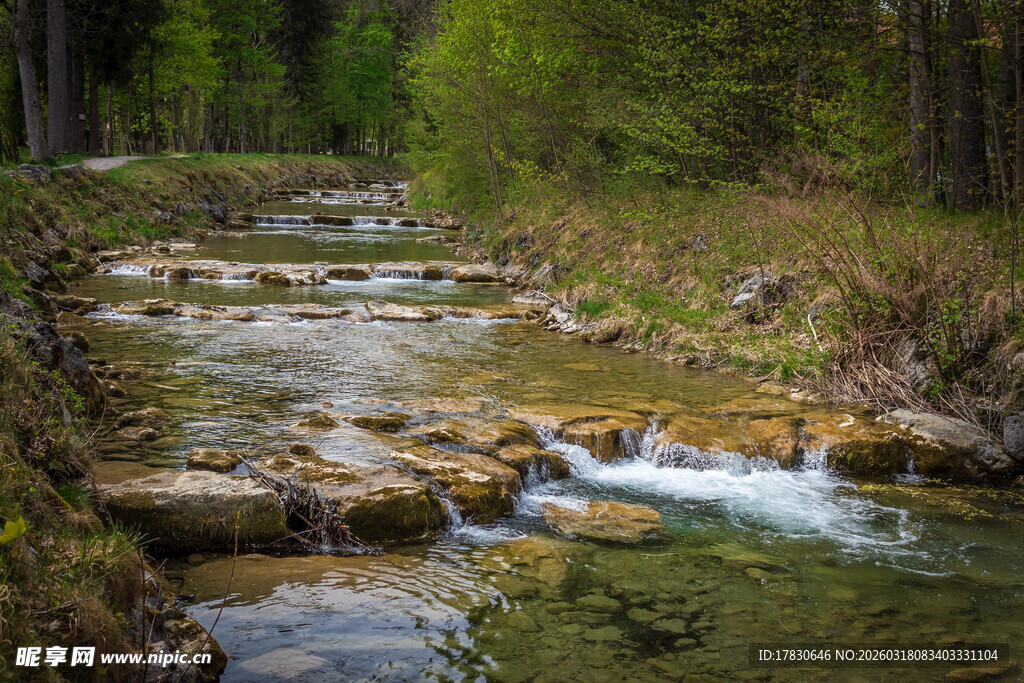 山间溪流蜿蜒于葱郁林间