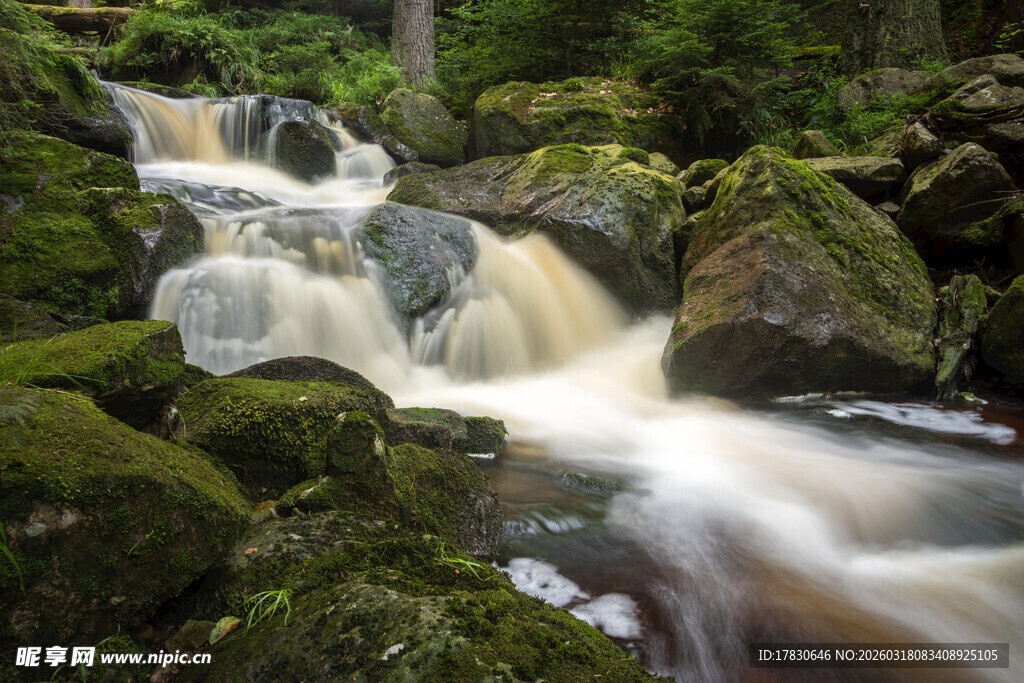 山间溪流潺潺青苔覆石