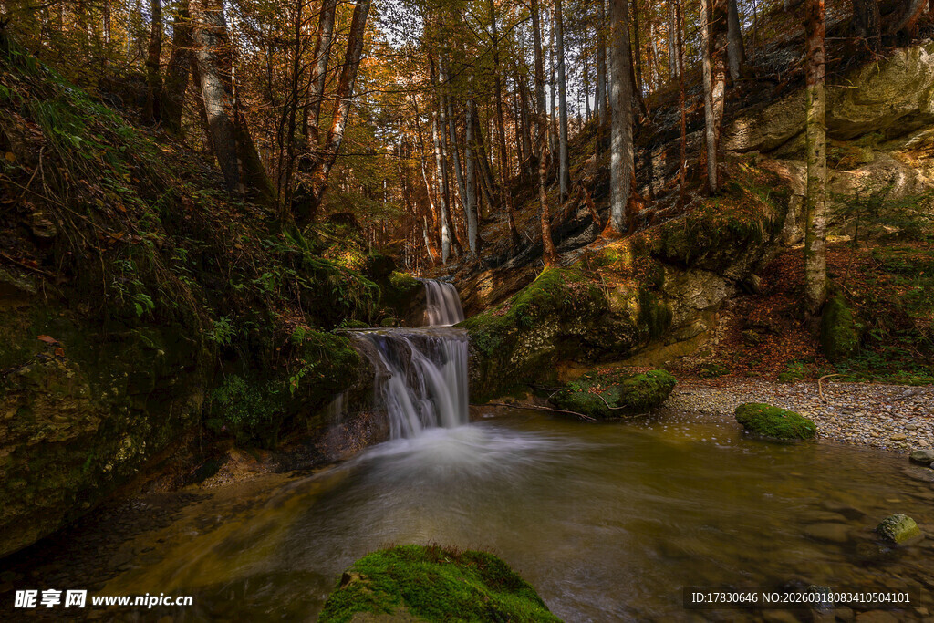 森林中的清幽小瀑布