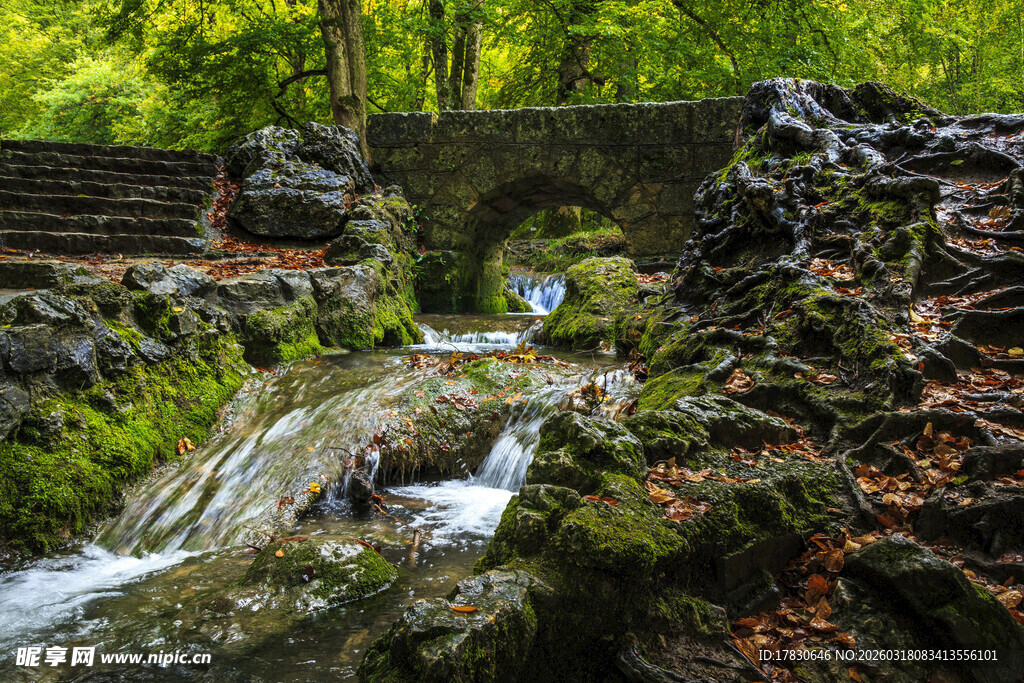 山林间的潺潺溪流