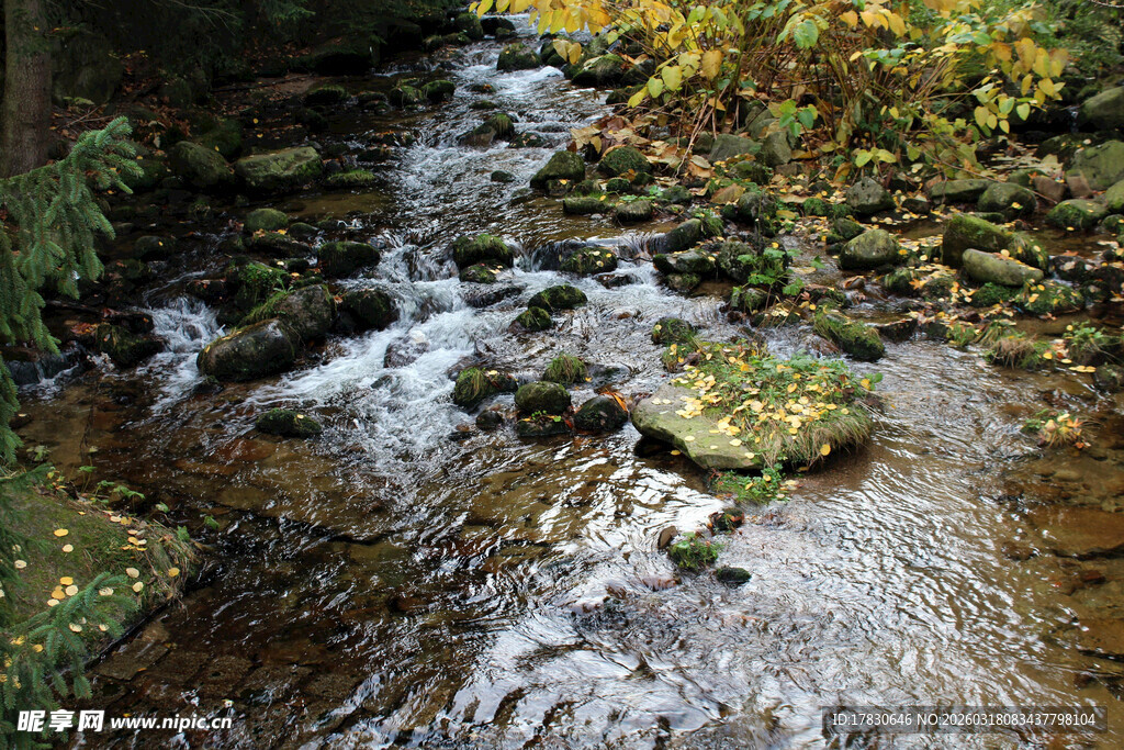 山间溪流潺潺秋色相伴