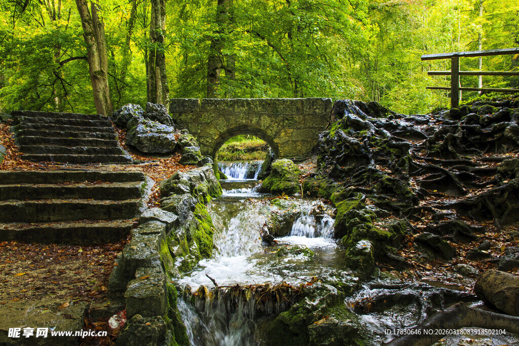 林间潺潺溪流景观