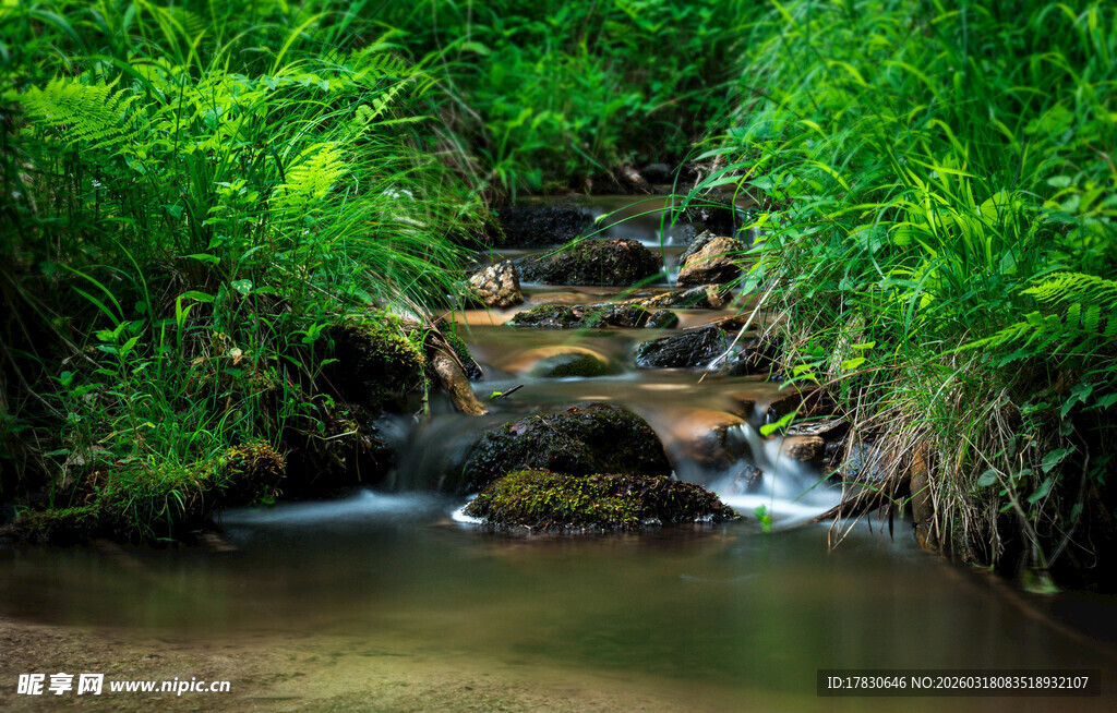 山间溪流绿意盎然的景致