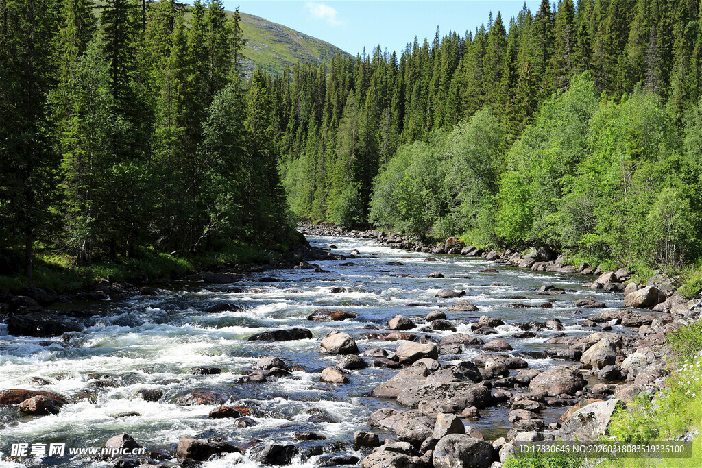 山间湍急溪流绿树环绕