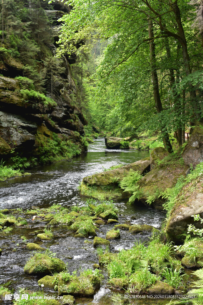 山间溪流绿意盎然的自然景
