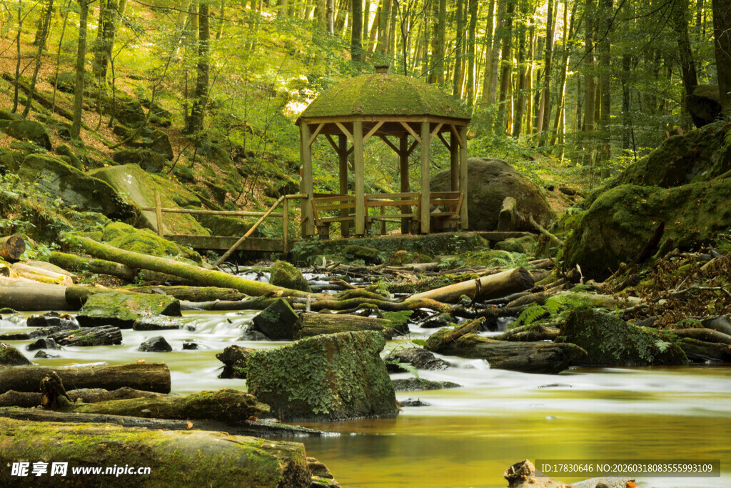 森林中的静谧凉亭与溪流