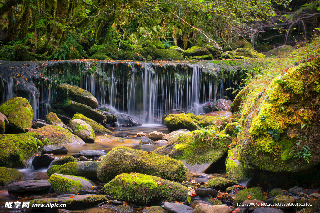 山间溪流瀑布与青苔石景