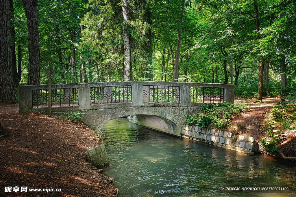 林间石桥下的潺潺溪流