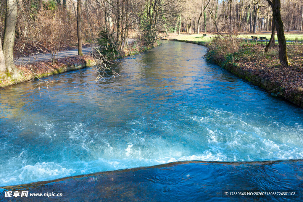 潺潺溪流穿林而过