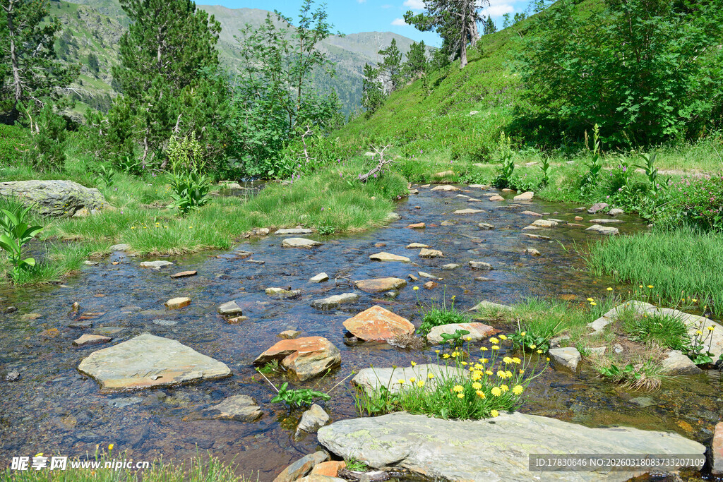 山间清澈溪流与多彩石块