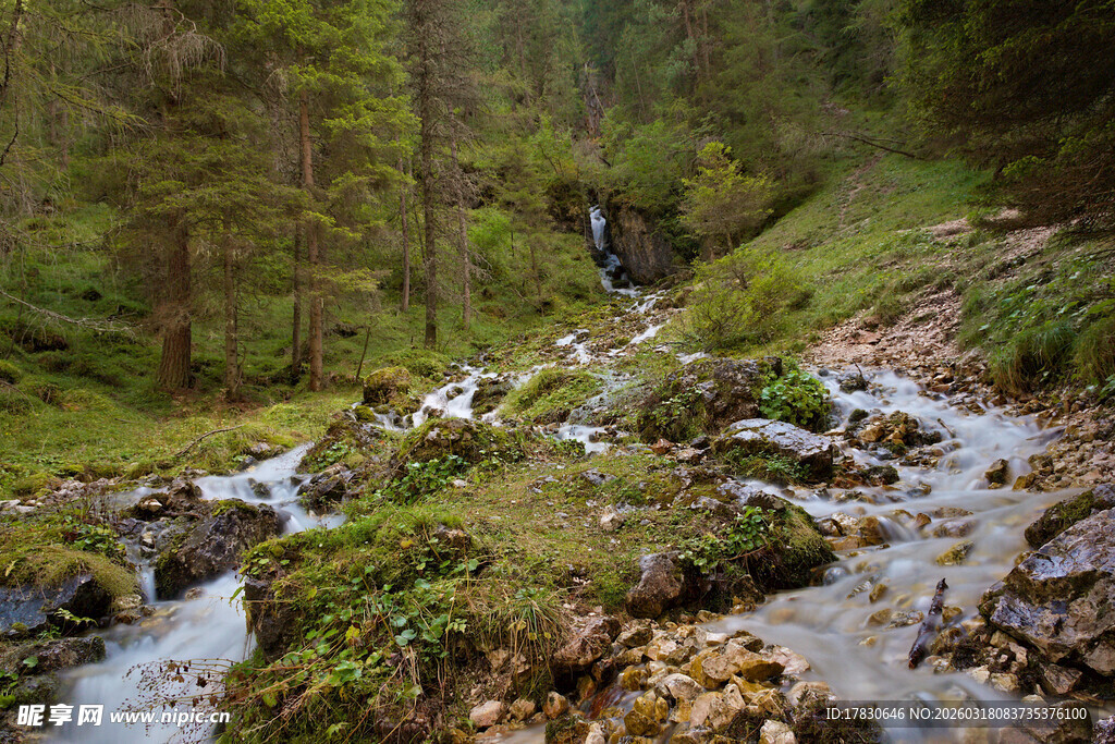 山间溪流绿意盎然的景致