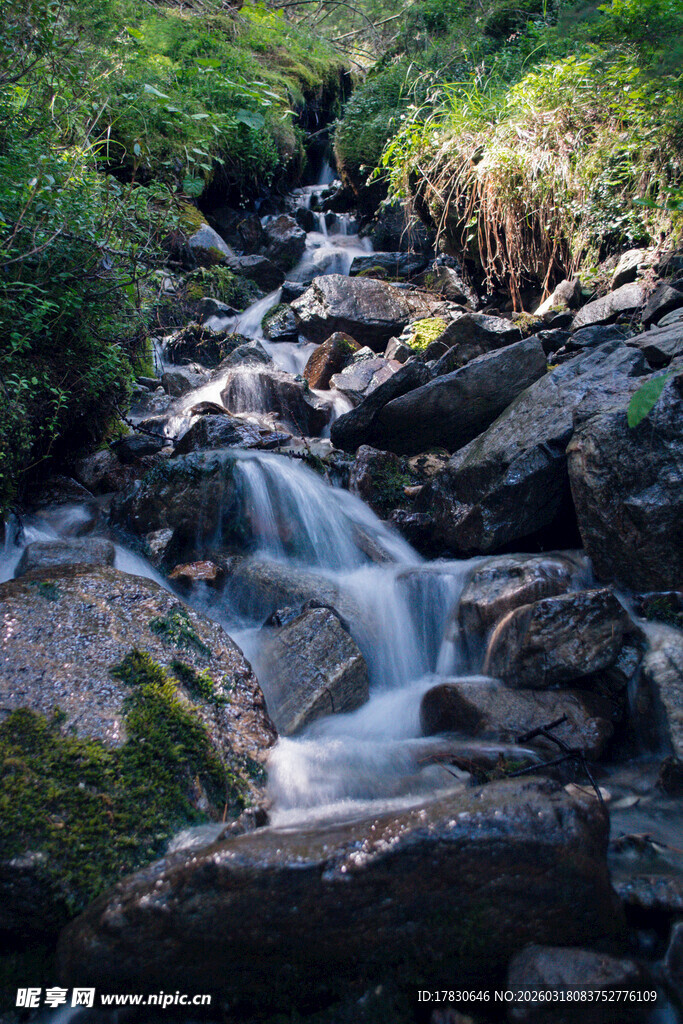山间溪流潺潺自然美景