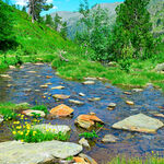 山间清澈小溪与葱郁美景