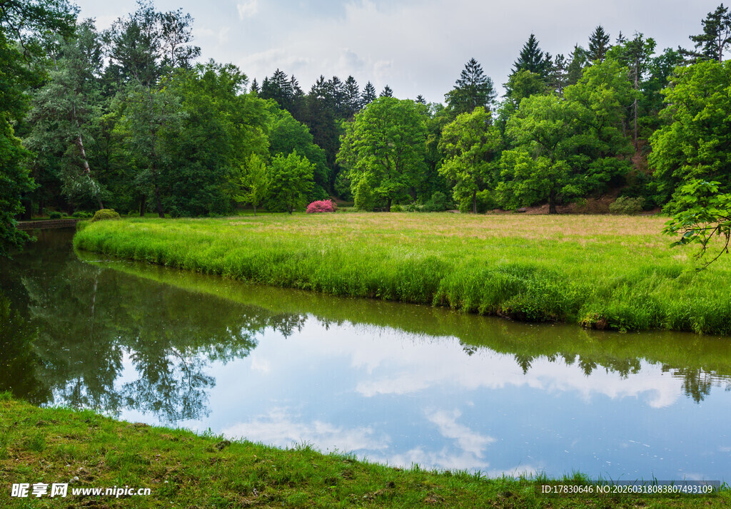 林间小河畔的静谧风光