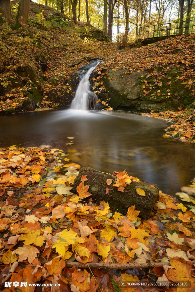 秋日溪流落叶美景