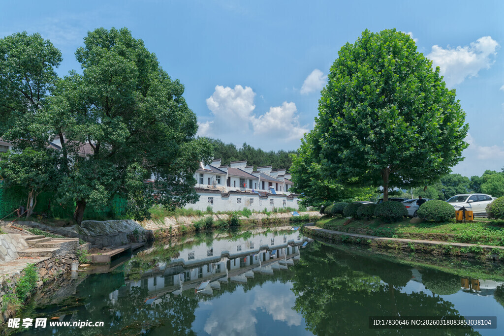 宁静河畔绿树成荫美景