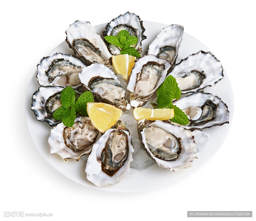生蚝