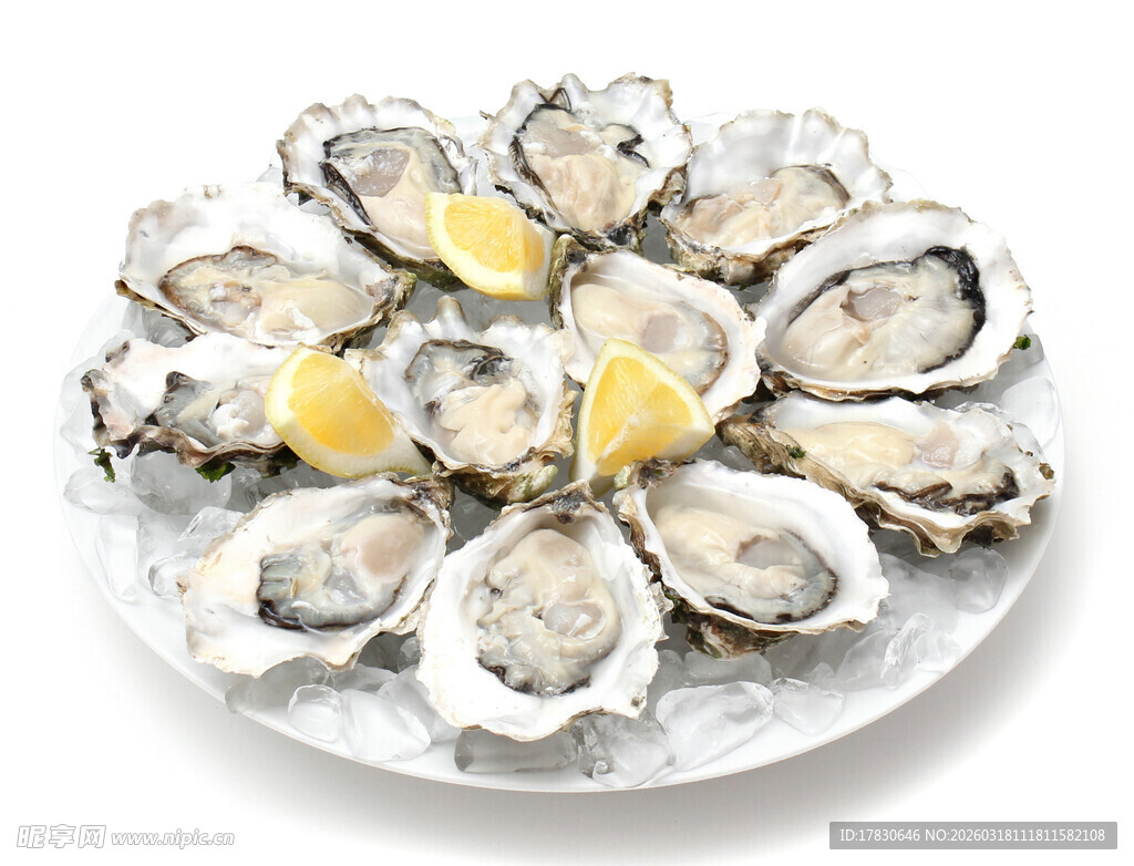 生蚝