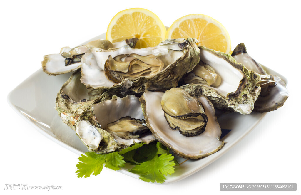 生蚝