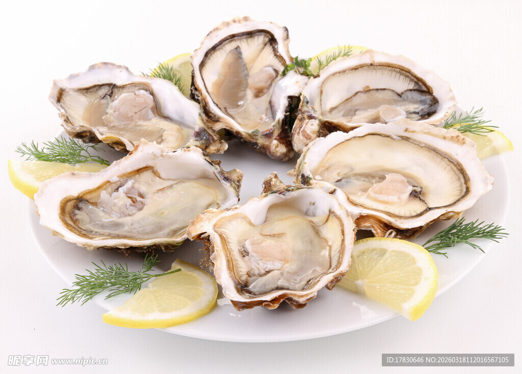 生蚝