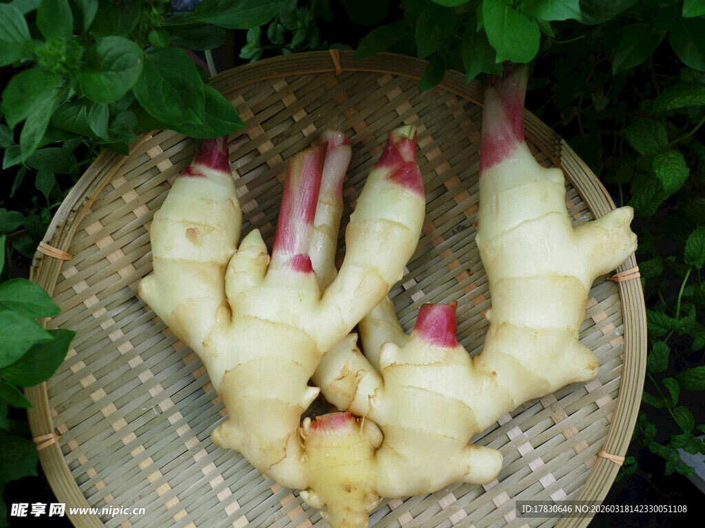 生姜