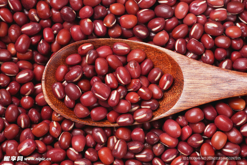 木勺盛红豆特写