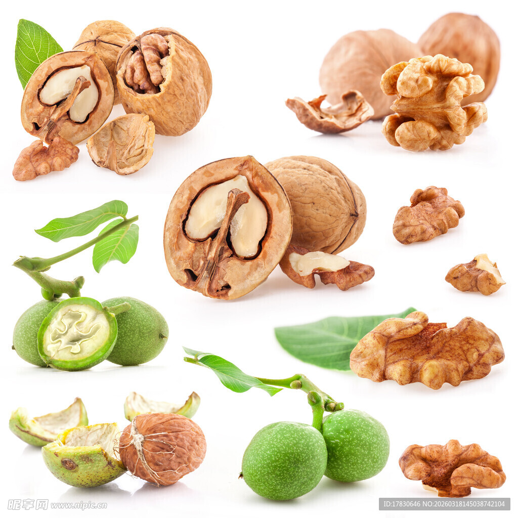 多样核桃及果实绿叶展示