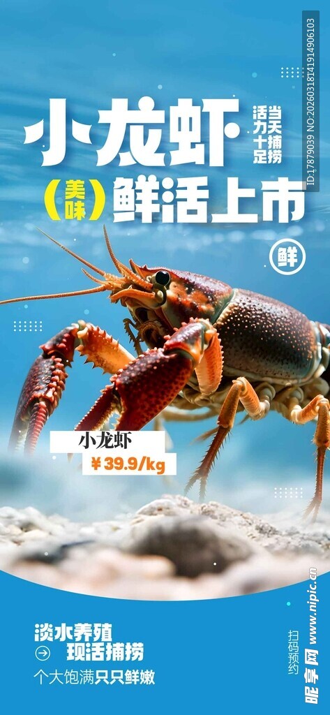 鲜活小龙虾