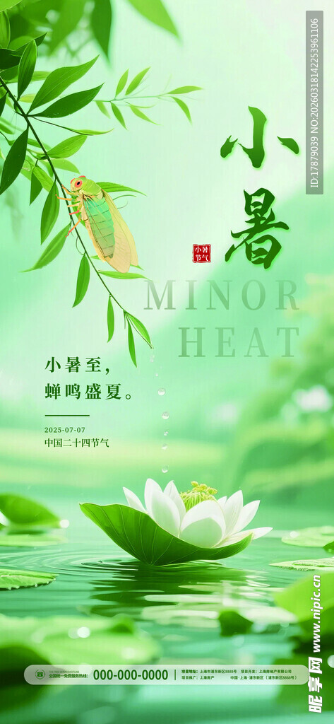 小暑时节绿意盎然荷花图