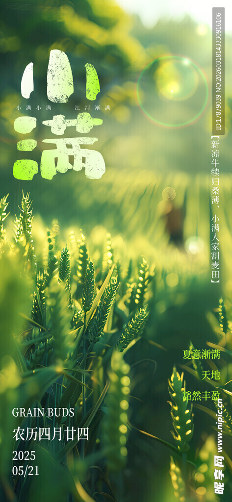 夏日葱郁草地风景