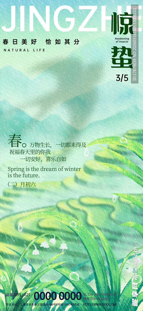 绿意盎然的梯田田园风光