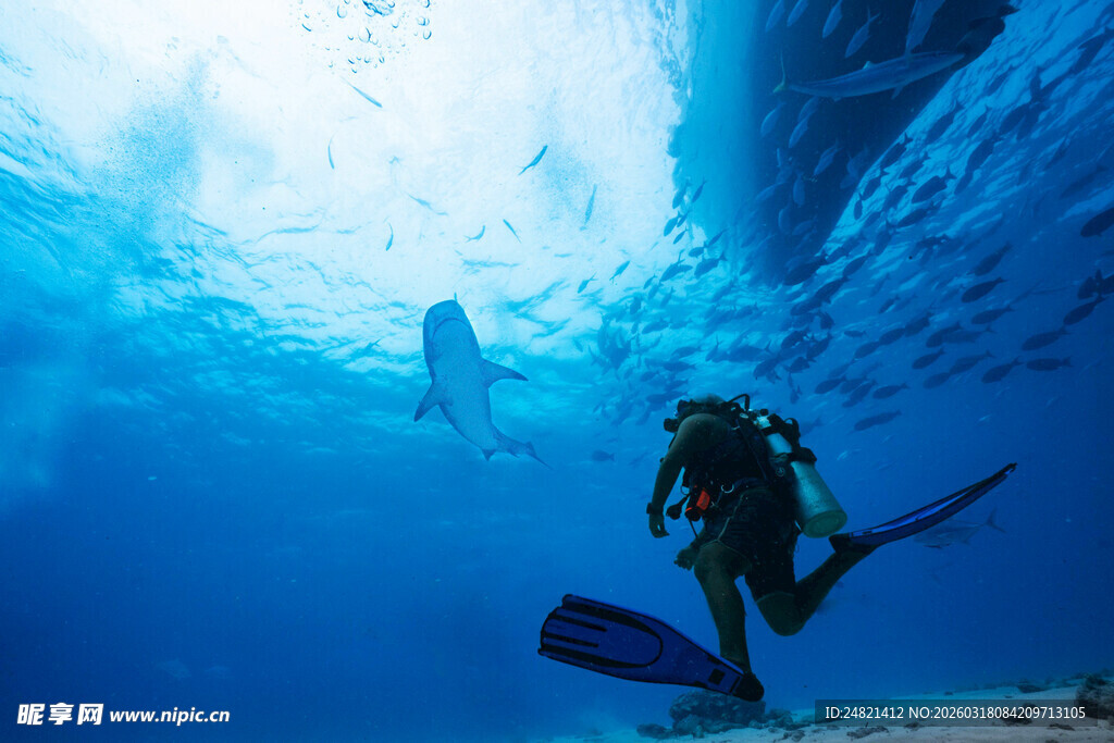深海潜水员的奇妙水下之旅