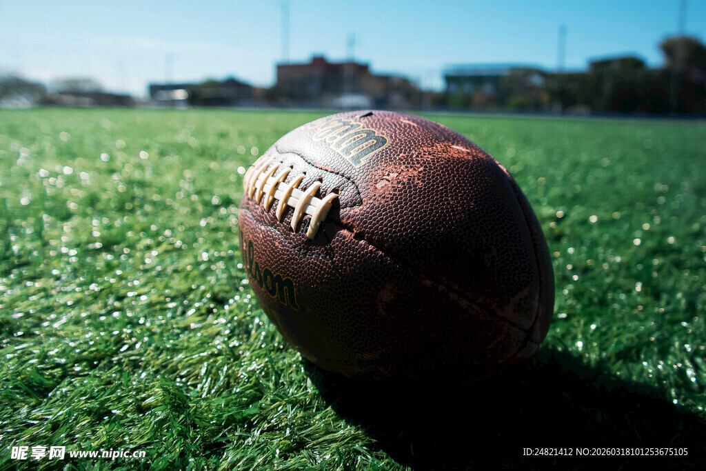 草地上的复古橄榄球