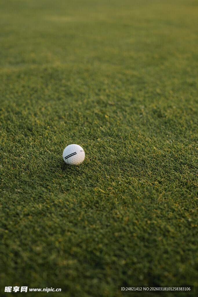 绿茵上的高尔夫球