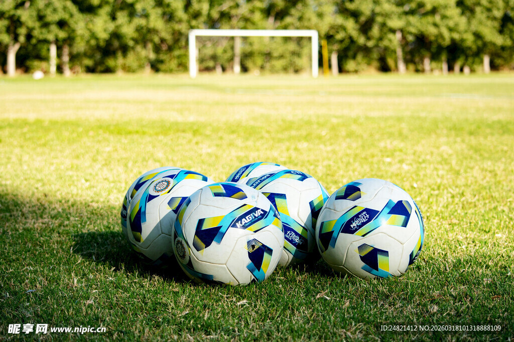 草地上的多彩足球