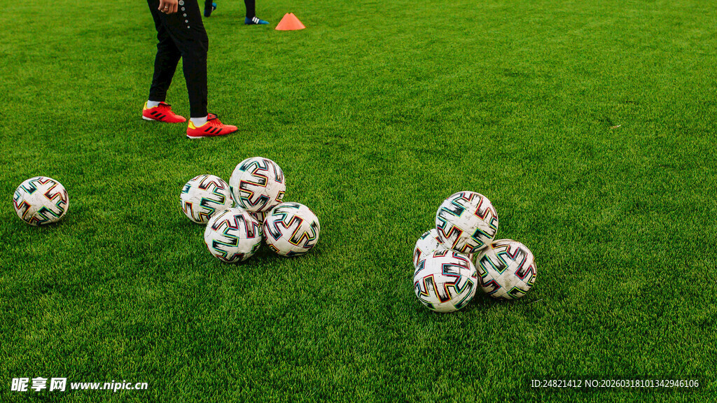 草地上的多彩足球
