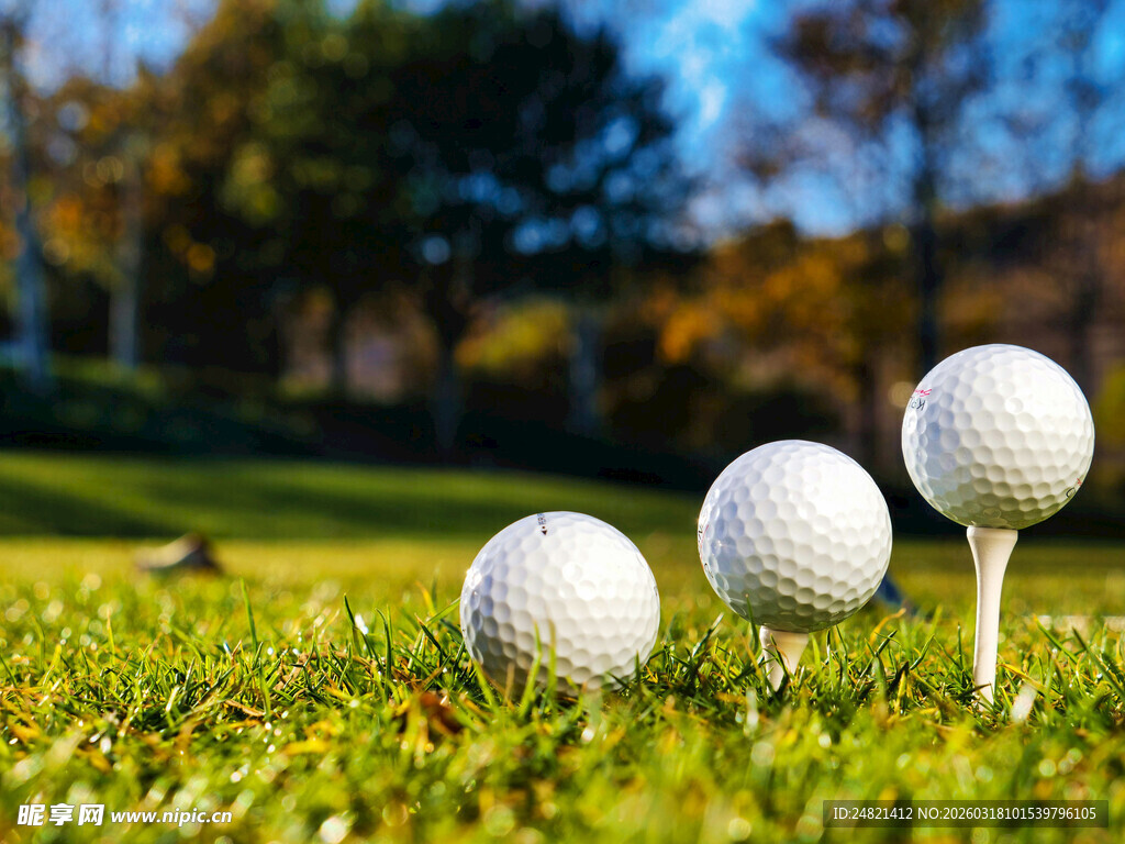 草地上的高尔夫球与球座