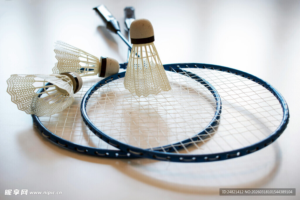 专业羽毛球拍与羽毛球